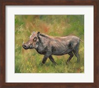 Warthog Fine Art Print