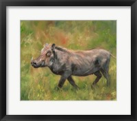 Warthog Fine Art Print