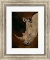 Rhino 2 Fine Art Print