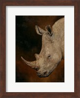 Rhino 2 Fine Art Print