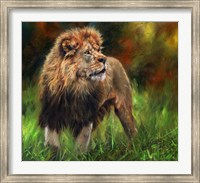 Lion Full Length Fine Art Print
