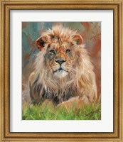 Lion Front 1012 Fine Art Print