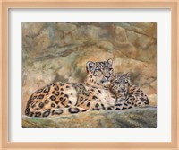 Snow Leopards Circles Fine Art Print