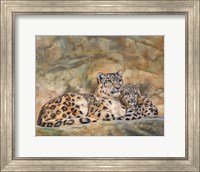 Snow Leopards Circles Fine Art Print