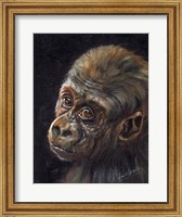 Baby Gorilla Fine Art Print