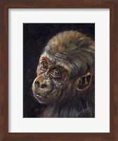 Baby Gorilla Fine Art Print