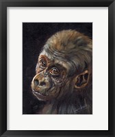 Baby Gorilla Fine Art Print