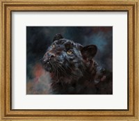 Black Panther 3 Fine Art Print