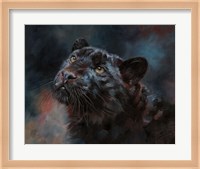 Black Panther 3 Fine Art Print