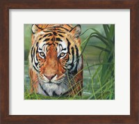 Tiger Grass Fine Art Print