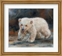 Polar Bear Fine Art Print