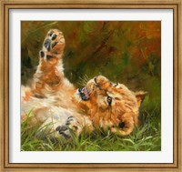 Lion Cub 1012 Fine Art Print
