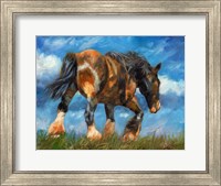 Shire Horse End Of The Day Fine Art Print