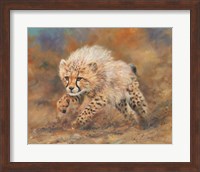 Cheetah Dust Final Fine Art Print