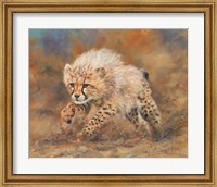 Cheetah Dust Final Fine Art Print