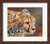 Cheetah Stare Fine Art Print