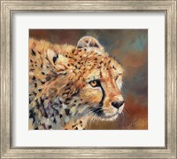 Cheetah Stare Fine Art Print
