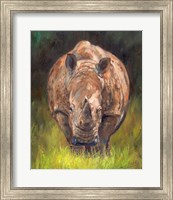 Rhino Straight On Fine Art Print
