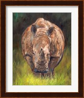 Rhino Straight On Fine Art Print