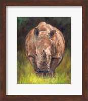 Rhino Straight On Fine Art Print