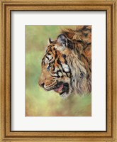 Amur Tiger Profile Fine Art Print