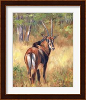 Sable Fine Art Print