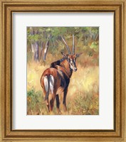 Sable Fine Art Print