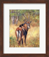 Sable Fine Art Print