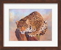 Jaguar On Tree Stump Fine Art Print