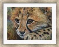 Cheetah Cub Close Fine Art Print