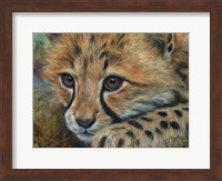 Cheetah Cub Close Fine Art Print
