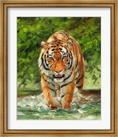 Tiger On The Prowl Fine Art Print