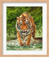 Tiger On The Prowl Fine Art Print