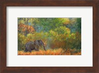 Elephant Trees Fine Art Print