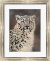 Snow Leopard Fine Art Print