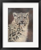 Snow Leopard Fine Art Print