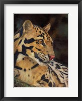 Clouded Leopard Portrait Fine Art Print