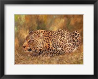 Leopard About To Pounce Fine Art Print
