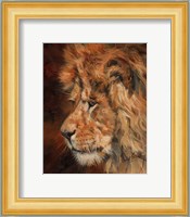 Bad Hair Day Fine Art Print