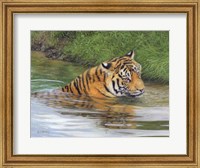 Tiger In Water 1 Fine Art Print