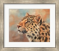 Leopard Study 3 Fine Art Print
