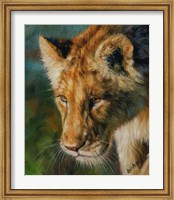 Lioness Return Fine Art Print