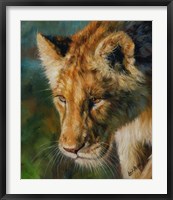 Lioness Return Fine Art Print