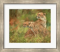 Cheetah Siblings Fine Art Print