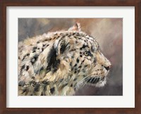 Snow Leopard 86 Fine Art Print