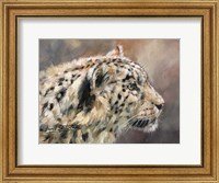 Snow Leopard 86 Fine Art Print