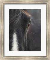 Horse Portrait Fine Art Print