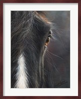 Horse Portrait Fine Art Print