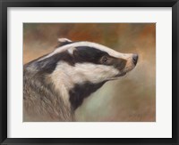 Badger Study Fine Art Print