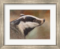 Badger Study Fine Art Print